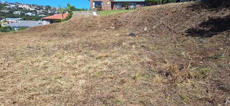 0 Bedroom Property for Sale in Groot Brakrivier Central Western Cape